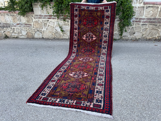 Vibrant Runner Rug 4x10- sku1881