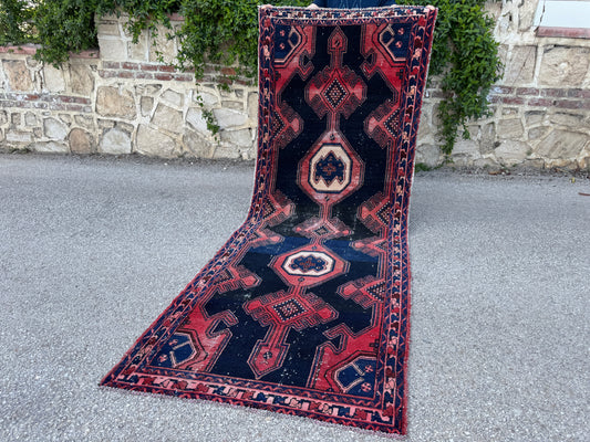 Persian Runner Rug 3x9 - sku1879