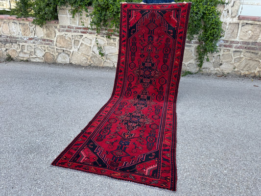 Persian Runner Rug 3x9 - sku1878