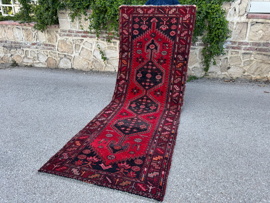 Hallway Runner Rug, Home Decor Rug 3x9 - sku1861