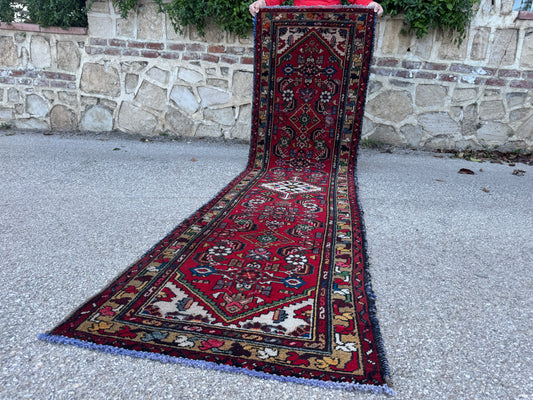 Elegant Runner Rug 3x10 - sku1889