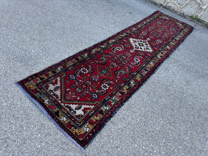Elegant Runner Rug 3x10 - sku1889