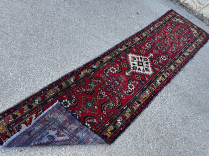 Elegant Runner Rug 3x10 - sku1889