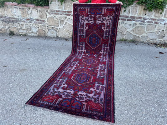 Hand Knotted Runner Rug 3x10 - sku1885
