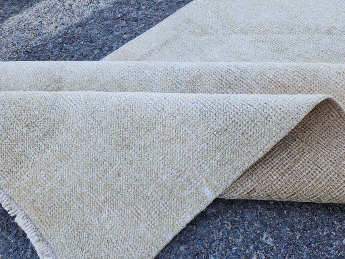 3x11 Turkish Area Rug, Neutral Hand Knotted Wool, Oriental Home Decor