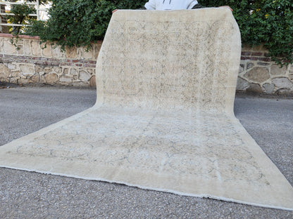 Hand Knotted Wool Rug 6x9: Turkish Isparta Beige Color