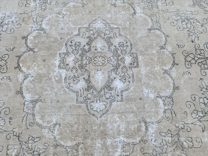 Vintage Oriental Rug 9x12: Beige And Brown Wool, Medallion Persian Border Design, Hand Knotted