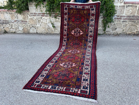 3x10 Vintage Handwoven Wool Runner Rug: Green and Red Bohemian Decor