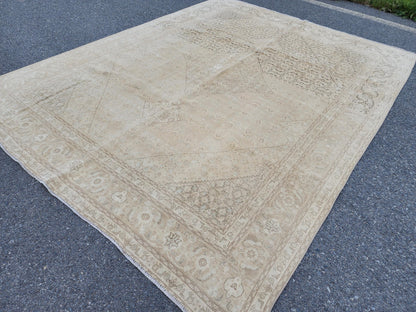 9x12 Neutral Wool Area Rug, Oriental Bohemian Decor, Beige And Brown Wool