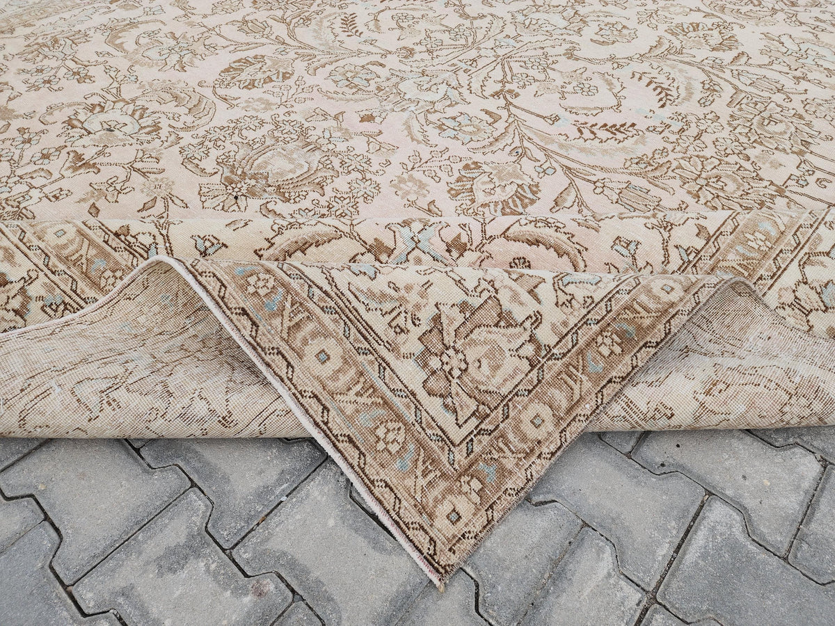 10x12 Neutral Area Rug: Home Decor, Interior Design, Beige and Brown, Living Room Rug