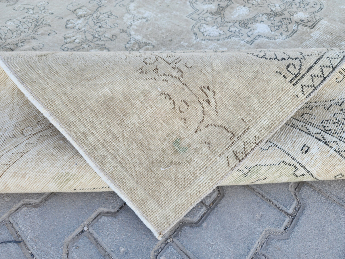 Vintage Oriental Rug 9x12: Beige And Brown Wool, Medallion Persian Border Design, Hand Knotted