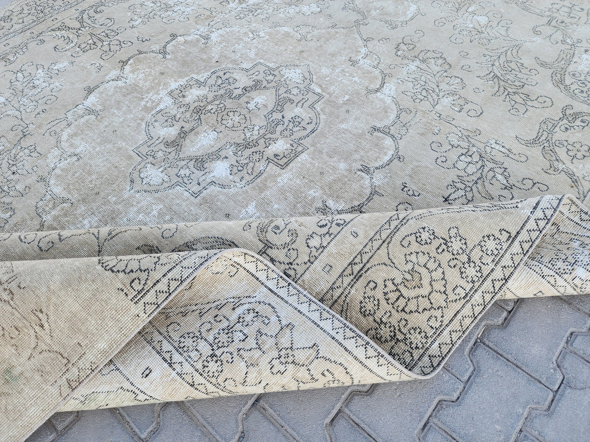 Vintage Oriental Rug 9x12: Beige And Brown Wool, Medallion Persian Border Design, Hand Knotted