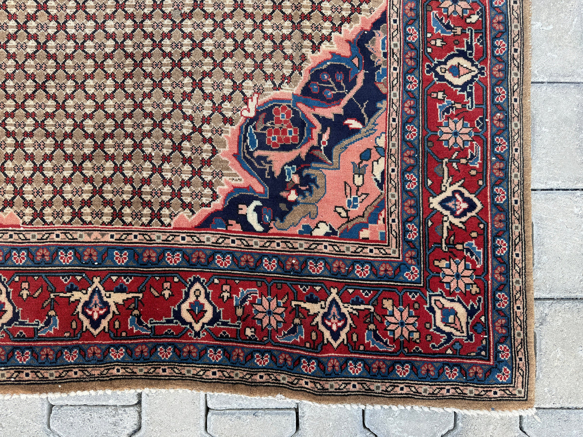 Antique Persian Rug 5x9: Hand-Knotted Wool Carpet, Boho Home Decor