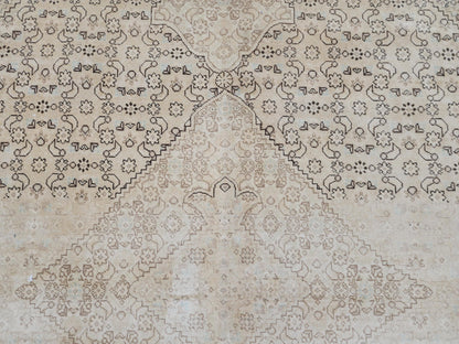 9x12 Neutral Wool Area Rug, Oriental Bohemian Decor, Beige And Brown Wool