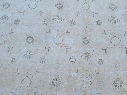 9x12 Neutral Area Rug, Turkish Hand Knotted Beige and Brown Wool, Farmhouse Decor
