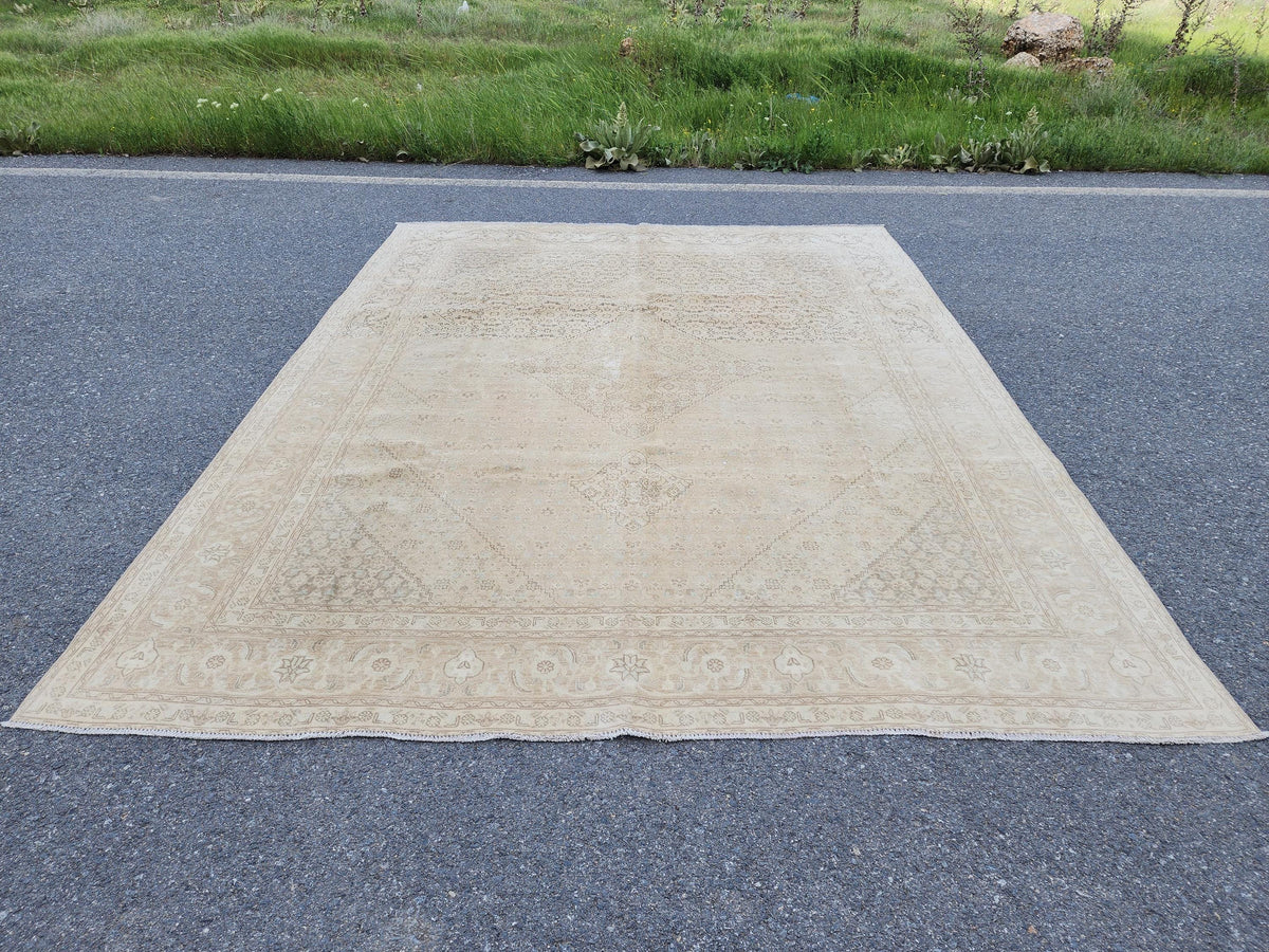 9x12 Neutral Wool Area Rug, Oriental Bohemian Decor, Beige And Brown Wool