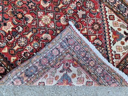Oriental Boho Runner Rug 3x10: Hand Knotted, Red and White