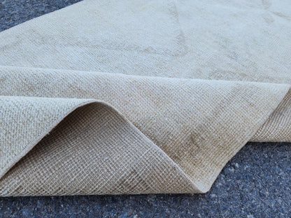 3x11 Turkish Area Rug, Neutral Hand Knotted Wool, Oriental Home Decor
