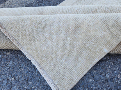 3x11 Turkish Area Rug, Neutral Hand Knotted Wool, Oriental Home Decor