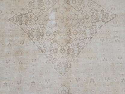 9x12 Neutral Wool Area Rug, Oriental Bohemian Decor, Beige And Brown Wool