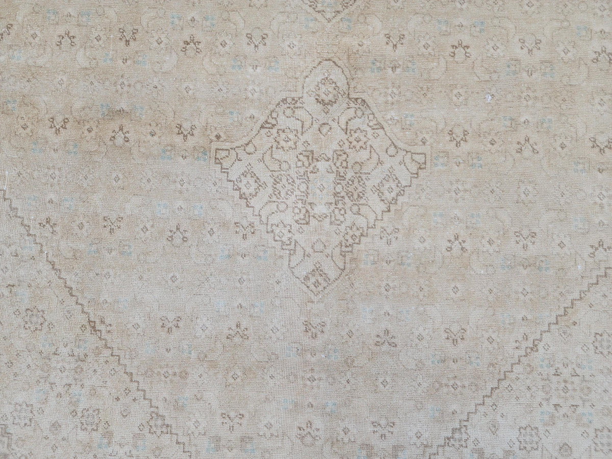 9x12 Neutral Wool Area Rug, Oriental Bohemian Decor, Beige And Brown Wool