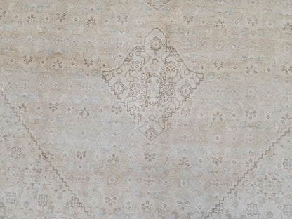 9x12 Neutral Wool Area Rug, Oriental Bohemian Decor, Beige And Brown Wool