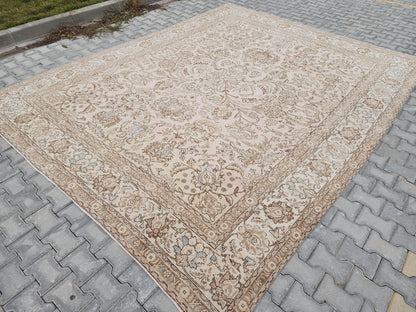 10x12 Neutral Area Rug: Home Decor, Interior Design, Beige and Brown, Living Room Rug